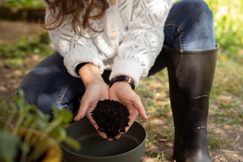 Sustainable DIY projects